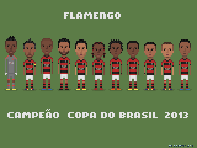 Flamengo Champions of Copa do Brasil 2013